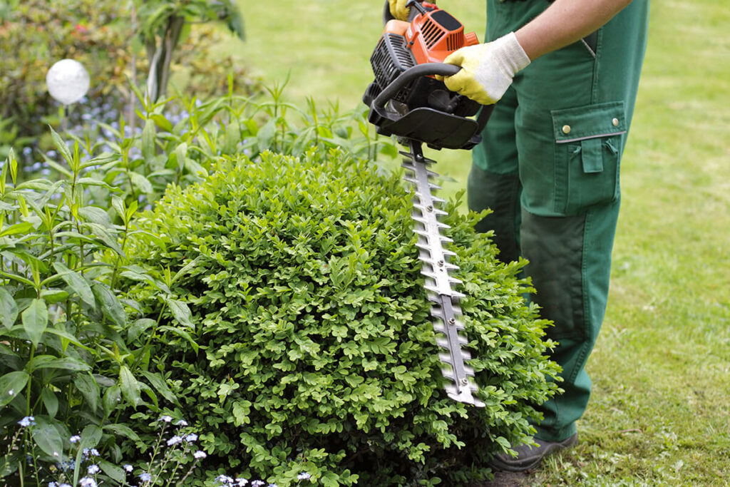 bati-net-jardin-1