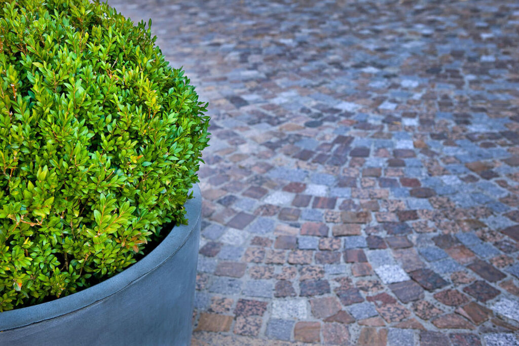 bati-net-jardin-2